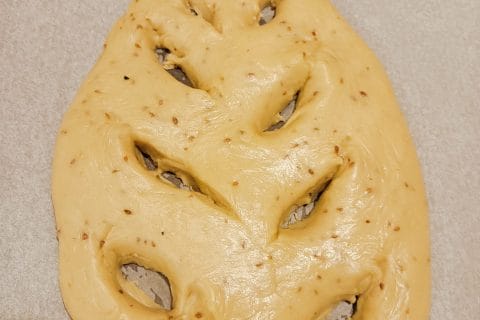 Cliquez pour zoomer ! Gibassier Thermomix par tortuenana4