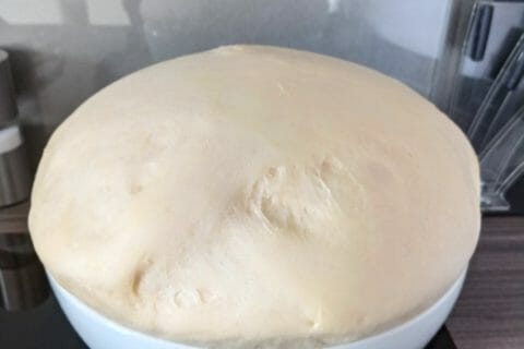 Cliquez pour zoomer ! Brioche aux pralines roses Thermomix par elodie_536