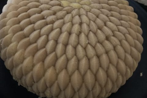 Cliquez pour zoomer ! Crémeux pommes spéculoos Thermomix par Romaprile