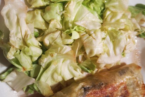 Cliquez pour zoomer ! Brick de saumon et poireaux Thermomix par vanessamat