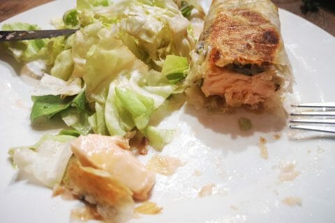 Cliquez pour zoomer ! Brick de saumon et poireaux Thermomix par vanessamat