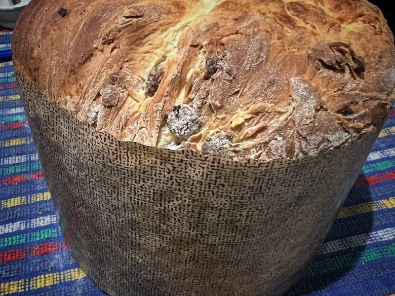 Cliquez pour zoomer ! Panettone Thermomix par severine2a