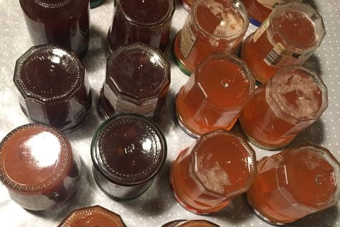 Cliquez pour zoomer ! Photo de carlitta