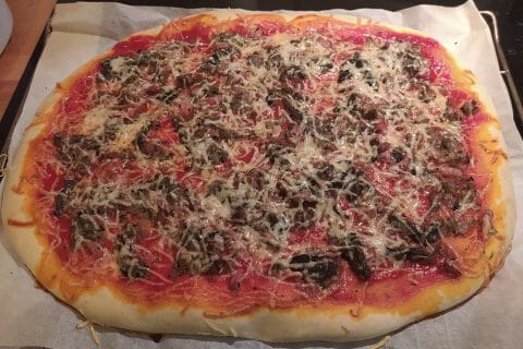 Photos des recettes