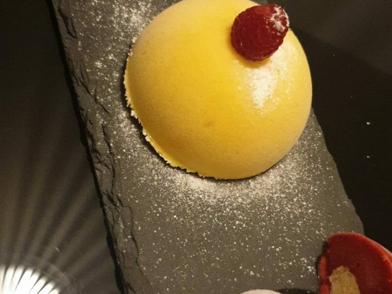 Cliquez pour zoomer ! Bûche glacée mangue et framboise Thermomix par sminoush