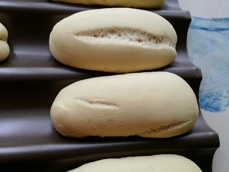 Cliquez pour zoomer ! Panini Thermomix par Iago31600