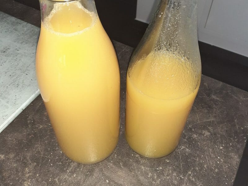 Cliquez pour zoomer ! Jus de pommes Thermomix par maiyah57