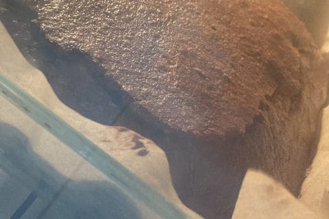 Cliquez pour zoomer ! Gâteau chocolat noix de coco Thermomix par melouts