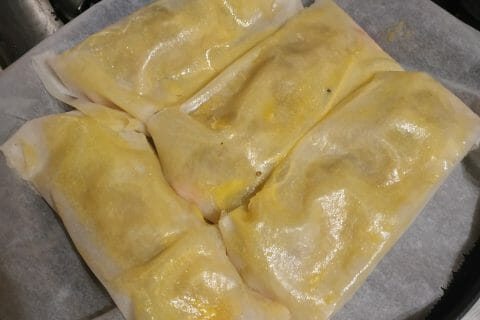 Cliquez pour zoomer ! Brick de saumon et poireaux Thermomix par maiyion