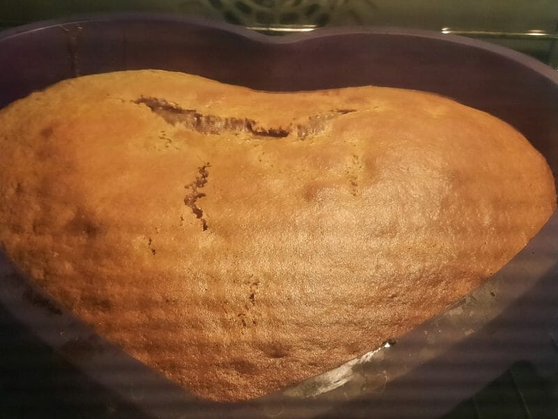 Cliquez pour zoomer ! Gâteau au yaourt Thermomix par Stella