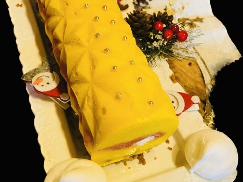 Cliquez pour zoomer ! Bûche glacée mangue et framboise Thermomix par gui_3