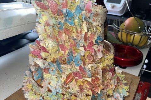 Cliquez pour zoomer ! Génoise au chocolat Thermomix par koundi