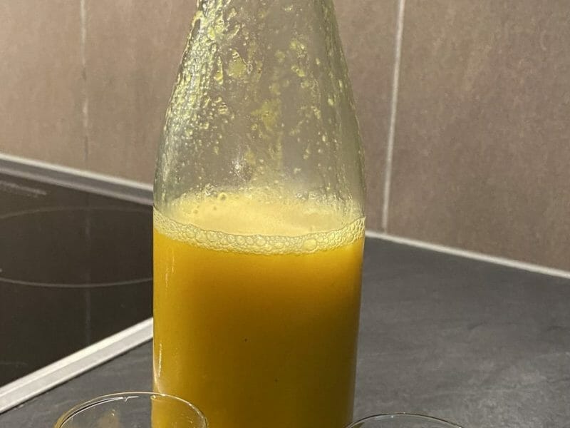 Cliquez pour zoomer ! Shot gingembre orange Thermomix par silvia_6