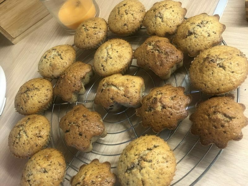 Cliquez pour zoomer ! Muffins aux pépites de chocolat Thermomix par Melanie2119