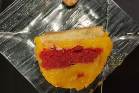 Cliquez pour zoomer ! Bûche glacée mangue et framboise Thermomix par stephanie_542