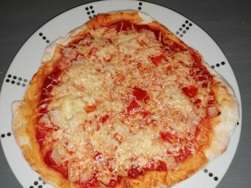 Cliquez pour zoomer ! Pâte à pizza Thermomix par nono0923