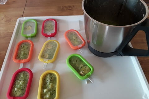Cliquez pour zoomer ! Glace kiwi banane Thermomix par Fryda