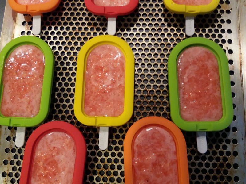 Cliquez pour zoomer ! Glace kiwi banane Thermomix par Fryda