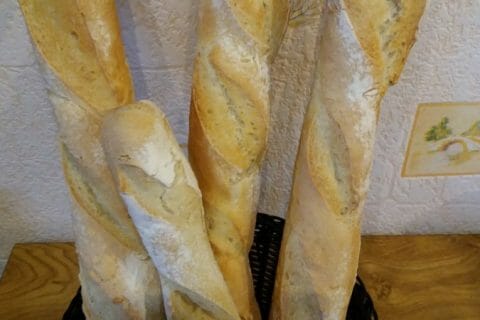 Photos des recettes