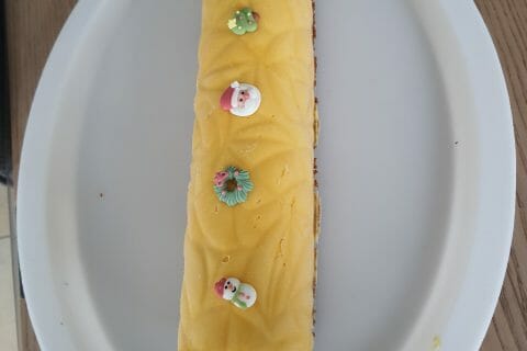 Cliquez pour zoomer ! Bûche glacée mangue et framboise Thermomix par cindouche38