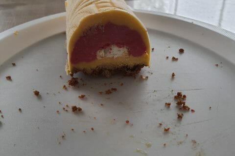 Cliquez pour zoomer ! Bûche glacée mangue et framboise Thermomix par cindouche38