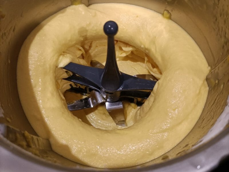 Cliquez pour zoomer ! Sorbet mangue Thermomix par babucita
