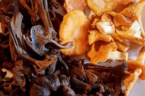 Cliquez pour zoomer ! Sauce aux champignons Thermomix par gaenia33