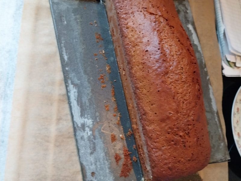 Cliquez pour zoomer ! Pain d’épices Thermomix par niepce