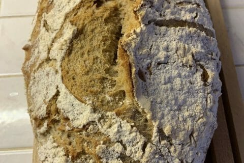 Cliquez pour zoomer ! Photo de lucilia_1