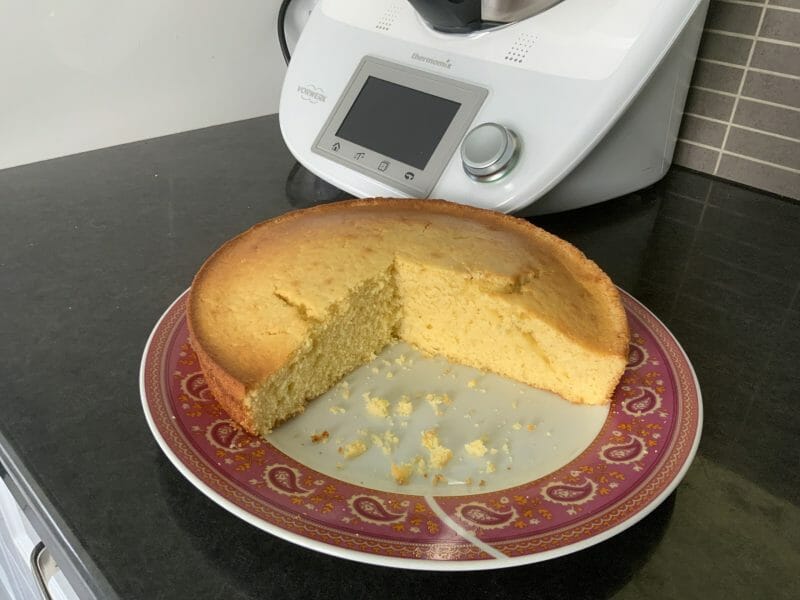 Cliquez pour zoomer ! Le gâteau suédois de Castor Thermomix par maminadinette