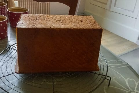 Cliquez pour zoomer ! Photo de coutnini