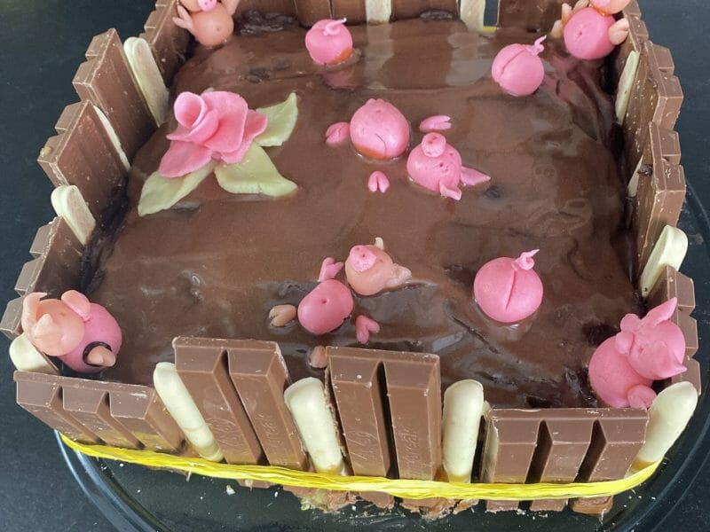 Cliquez pour zoomer ! La mare aux cochons Thermomix par flobj