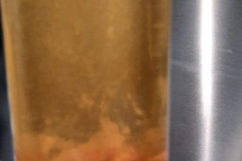 Cliquez pour zoomer ! Liqueur de pommes Thermomix par nougatine07