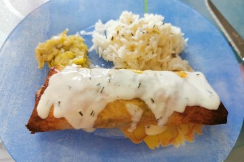 Cliquez pour zoomer ! Brick de saumon et poireaux Thermomix par Smiley67