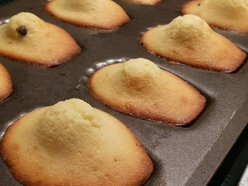 Cliquez pour zoomer ! Madeleines Thermomix par sandradeb