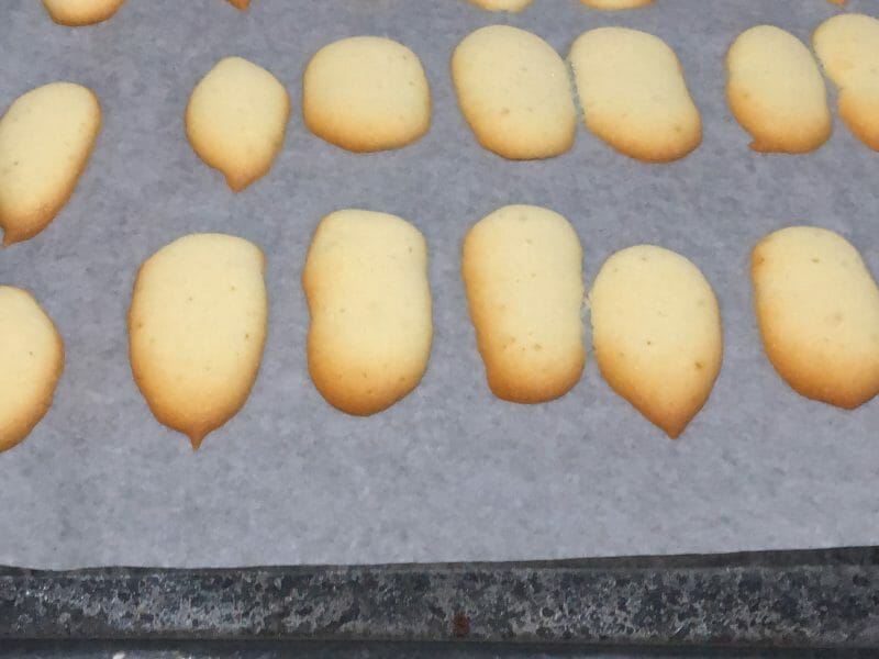 Cliquez pour zoomer ! Langues de chat Thermomix par Nadege0112