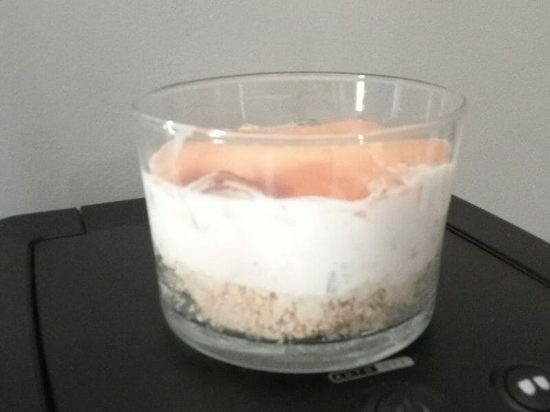 Cliquez pour zoomer ! Cheesecake au saumon sans cuisson Thermomix par tha