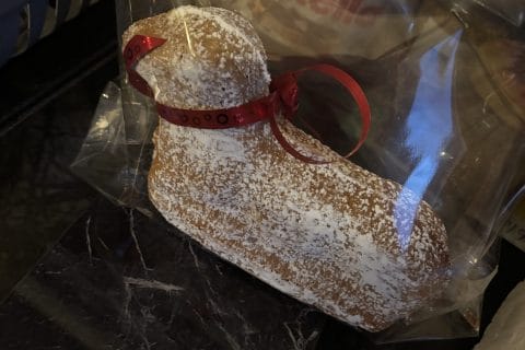 Cliquez pour zoomer ! Photo de laetitia_441