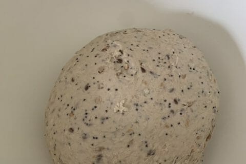 Cliquez pour zoomer ! Petits pains aux céréales Thermomix par mar_20