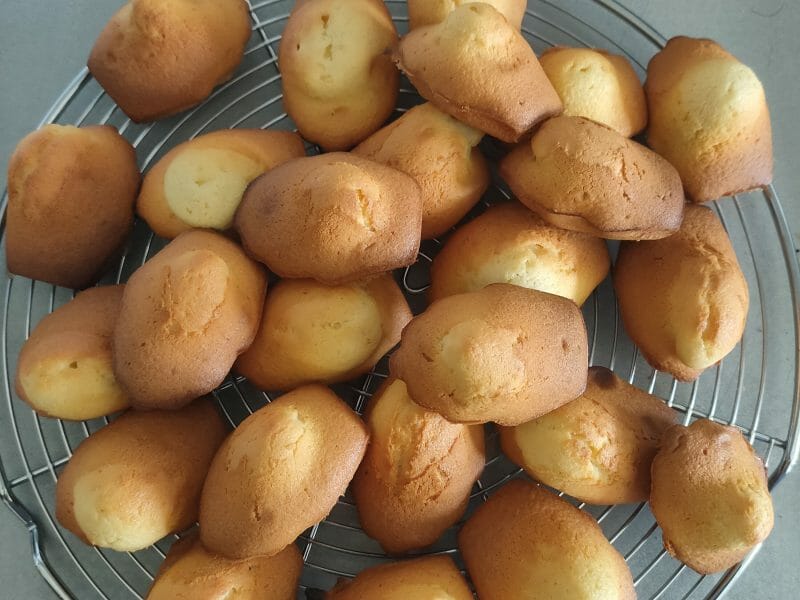 Cliquez pour zoomer ! Madeleines Thermomix par KlrV