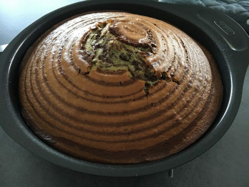 Cliquez pour zoomer ! Gâteau zébré Thermomix par Carapupuce