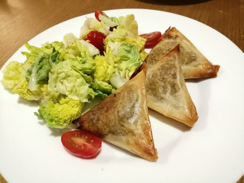 Cliquez pour zoomer ! Samoussa au boeuf Thermomix par celine