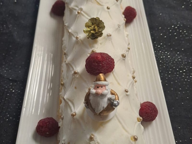 Cliquez pour zoomer ! Bûche citron et framboises Thermomix par Nathalie