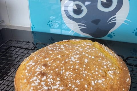 Cliquez pour zoomer ! Le gâteau suédois de Castor Thermomix par siamois79