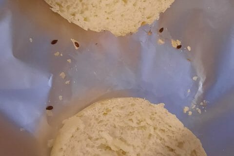 Cliquez pour zoomer ! Pains hamburger Thermomix par gambuzza