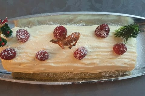 Cliquez pour zoomer ! Bûche de Noël framboises et chocolat blanc Thermomix par delph_alpha