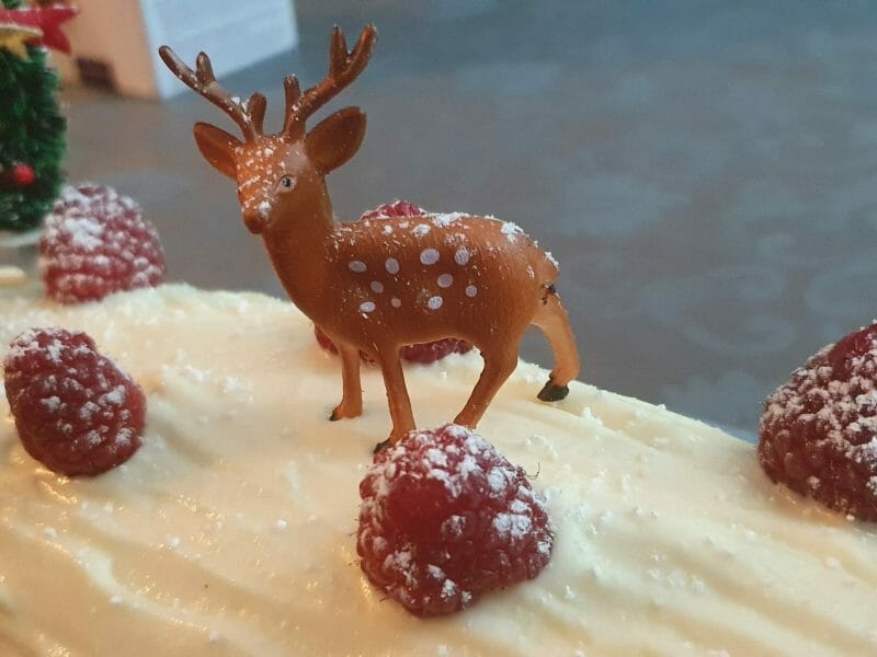 Cliquez pour zoomer ! Bûche de Noël framboises et chocolat blanc Thermomix par delph_alpha