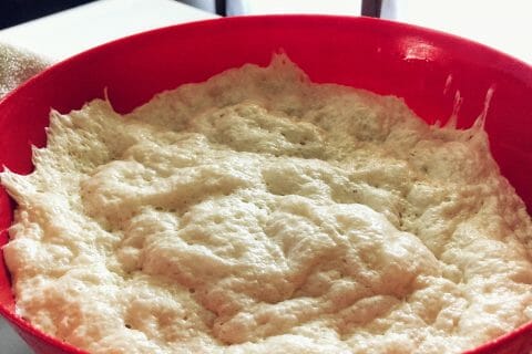 Cliquez pour zoomer ! Focaccia des Pouilles Thermomix par millelodie