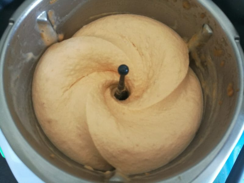 Cliquez pour zoomer ! Sorbet à l’abricot Thermomix par nimroel