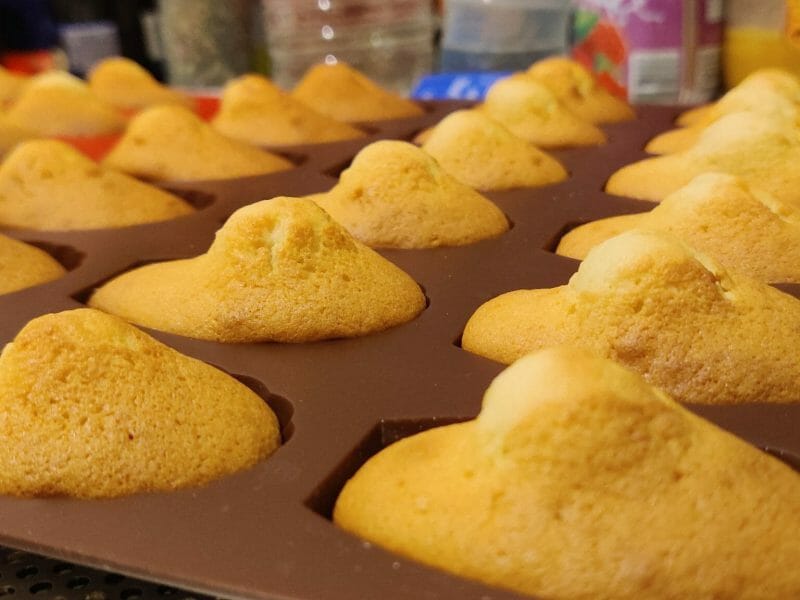 Cliquez pour zoomer ! Madeleines Thermomix par jonae